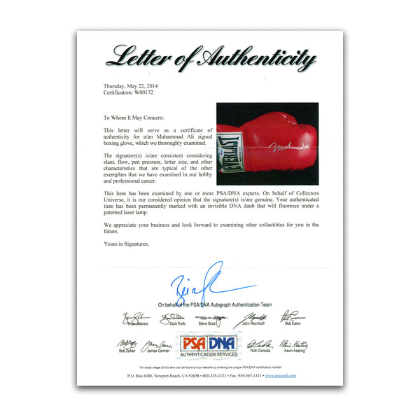 PSA DNA Letter of Authenticity for Muhammad Ali autographed Everlast boxing glove certification W00172
