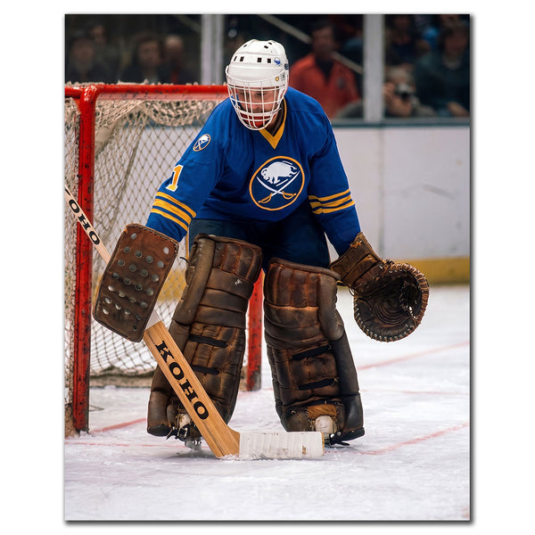 Don Edwards positioned in front of the net in a blue Buffalo Sabres uniform