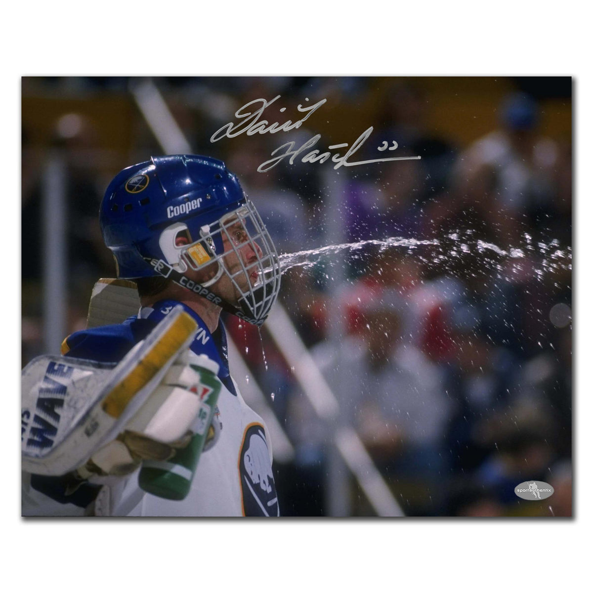 Dominik Hasek Buffalo Sabres Autographed 16x20 - Sport Authentix Inc