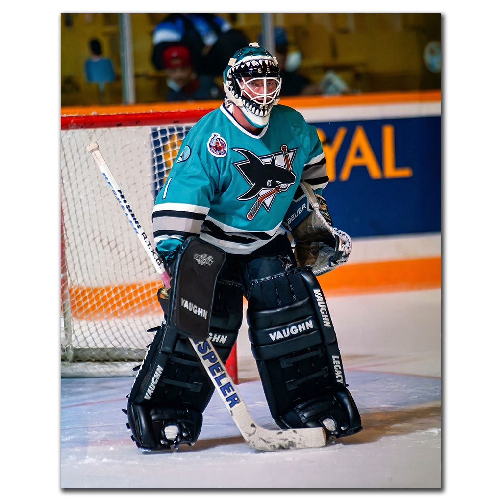 Brian Hayward autographed San Jose Sharks 16x20 photo pre-order #1 showing him in a teal jersey goalie stance.