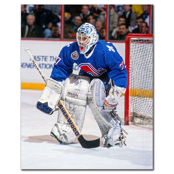 Ron Hextall Quebec Nordiques 8x10 hockey photo in a blue goalie uniform crouched in front of the net for autograph pre-order