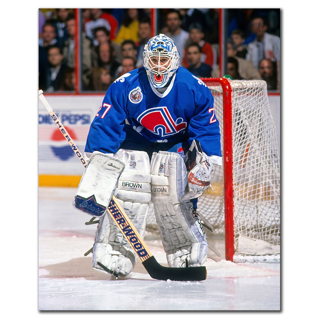 Ron Hextall Quebec Nordiques 16x20 hockey photo in a blue goalie uniform standing in front of the net for autograph pre-order