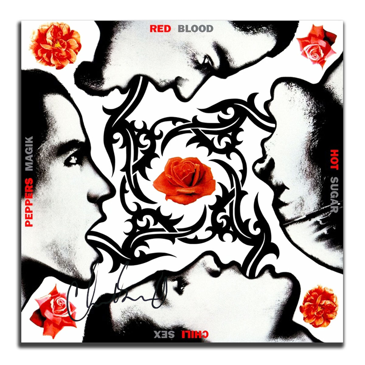 Chad Smith Signed Red Hot Chili Peppers BLOOD SUGAR SEX MAGIK Autographed Vinyl Album LP