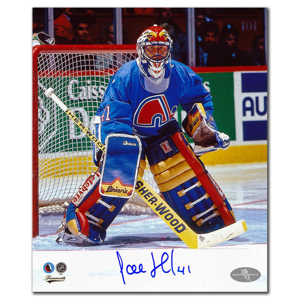 Jocelyn Thibault autographed Quebec Nordiques 8x10 photo blue jersey game action